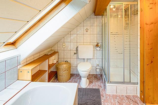 Appartements Scharzenberger Und Hinteregg Schladming Ngoại thất bức ảnh