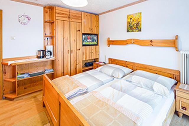Appartements Scharzenberger Und Hinteregg Schladming Ngoại thất bức ảnh